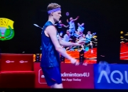 英雄联盟总决赛时间-德国队横扫丹麦队，石宇奇统治全场的简单介绍