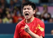 英雄联盟总决赛2025-瑞典队翻盘波兰队，樊振东高光表现