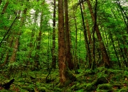 LOL赛事-德甲争冠战焦点，尤文压制皇马的战术启示