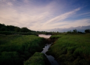 英雄联盟总决赛2025-28分火焰，塔图姆如何用一节时间改写费城深夜