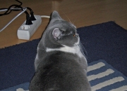 英雄联盟总决赛赛程-乌克兰奇兵闪击诺坎普，一场改变西甲权力格局的90分钟