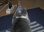 英雄联盟总决赛赛程-乌克兰奇兵闪击诺坎普，一场改变西甲权力格局的90分钟