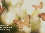 LOL决赛-跨界争霸，灰熊胜奇才夺冠路，爱德华兹如英超巨星般接管比赛