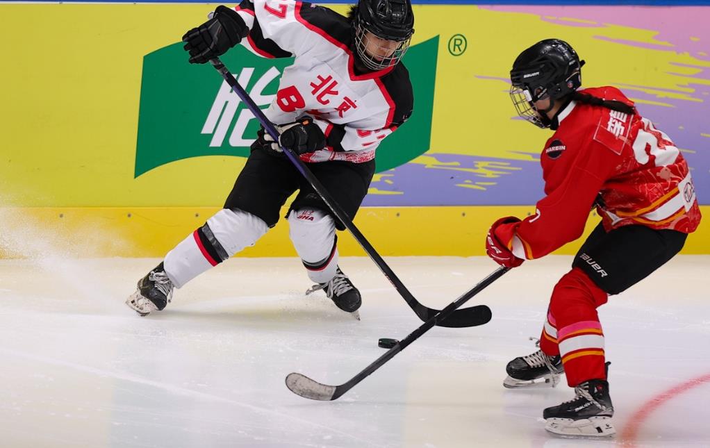 关于哈尔滨队遭遇惨败，积分榜位置下滑的信息