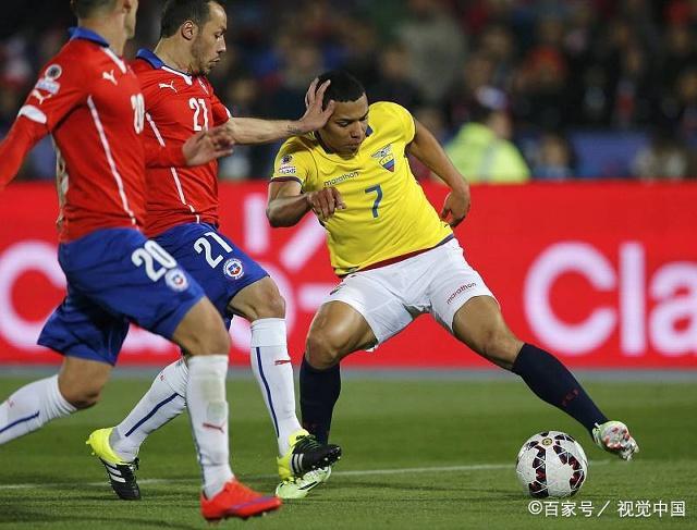 专家预测美洲杯胜率超六成，结果成焦点的简单介绍