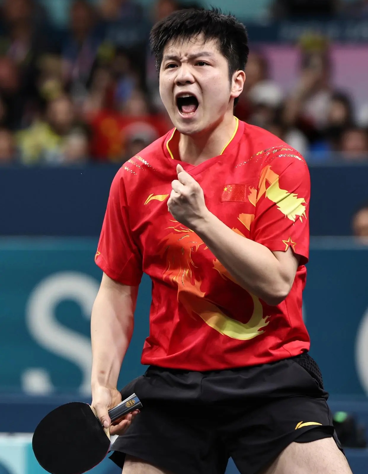 瑞典队翻盘波兰队，樊振东高光表现