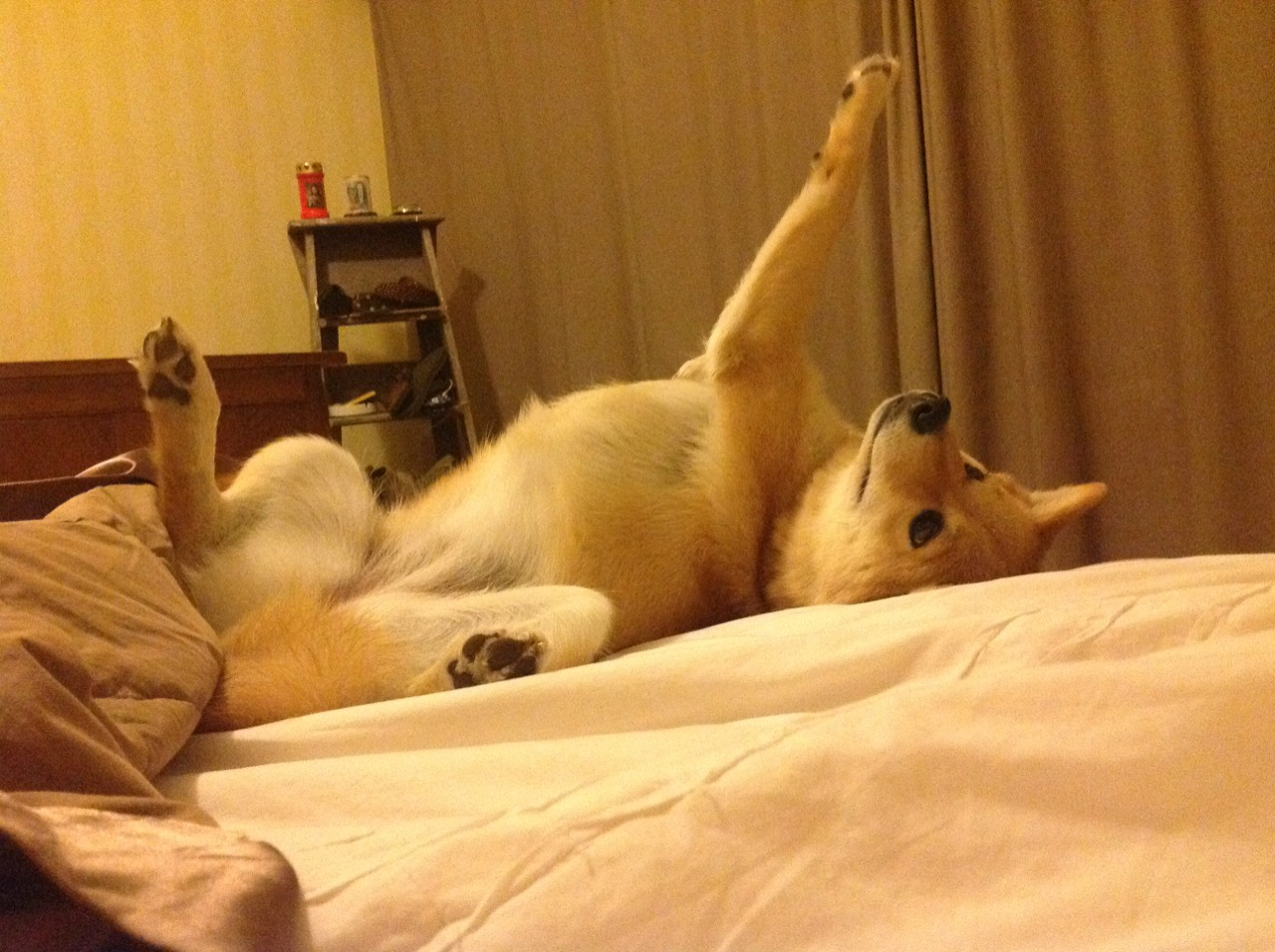 攻防转换的引擎，拉梅洛如何驱动凯尔特人力克雷霆