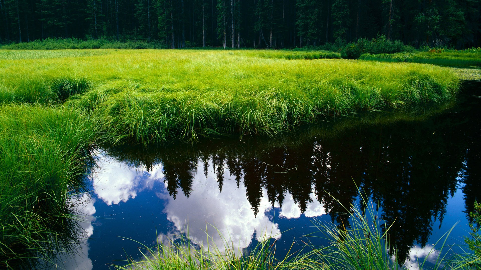 巨星闪耀难救主，新疆铁骑踏破篮网争冠路
