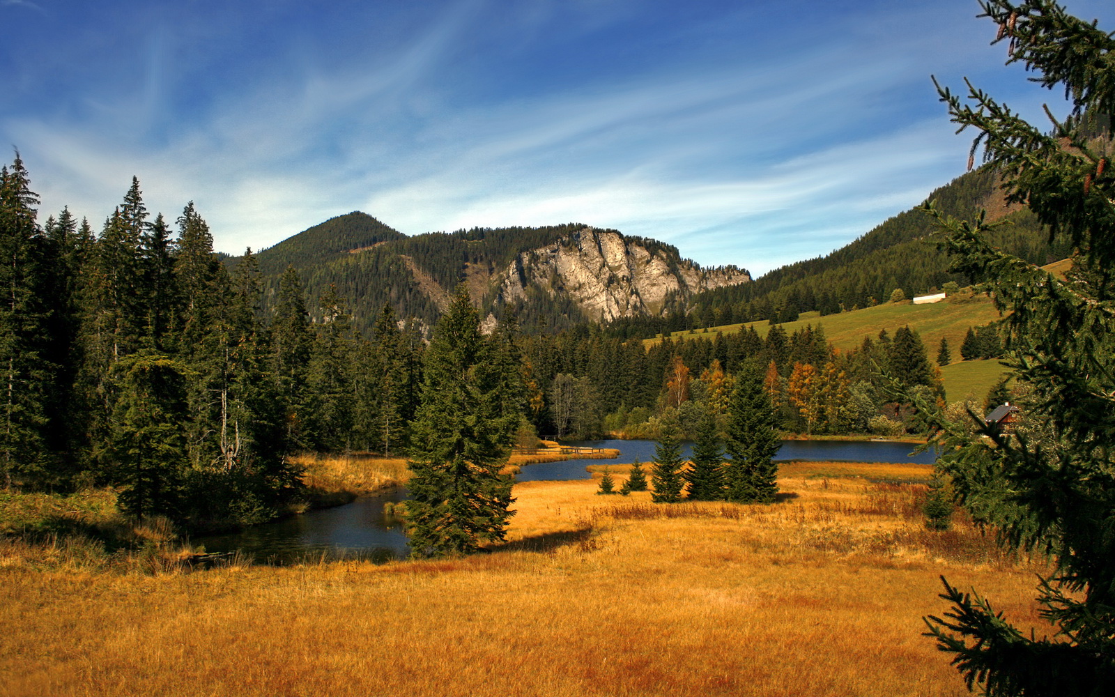 班凯罗的持续杀伤，一场跨越八千英里的篮球哲学对话