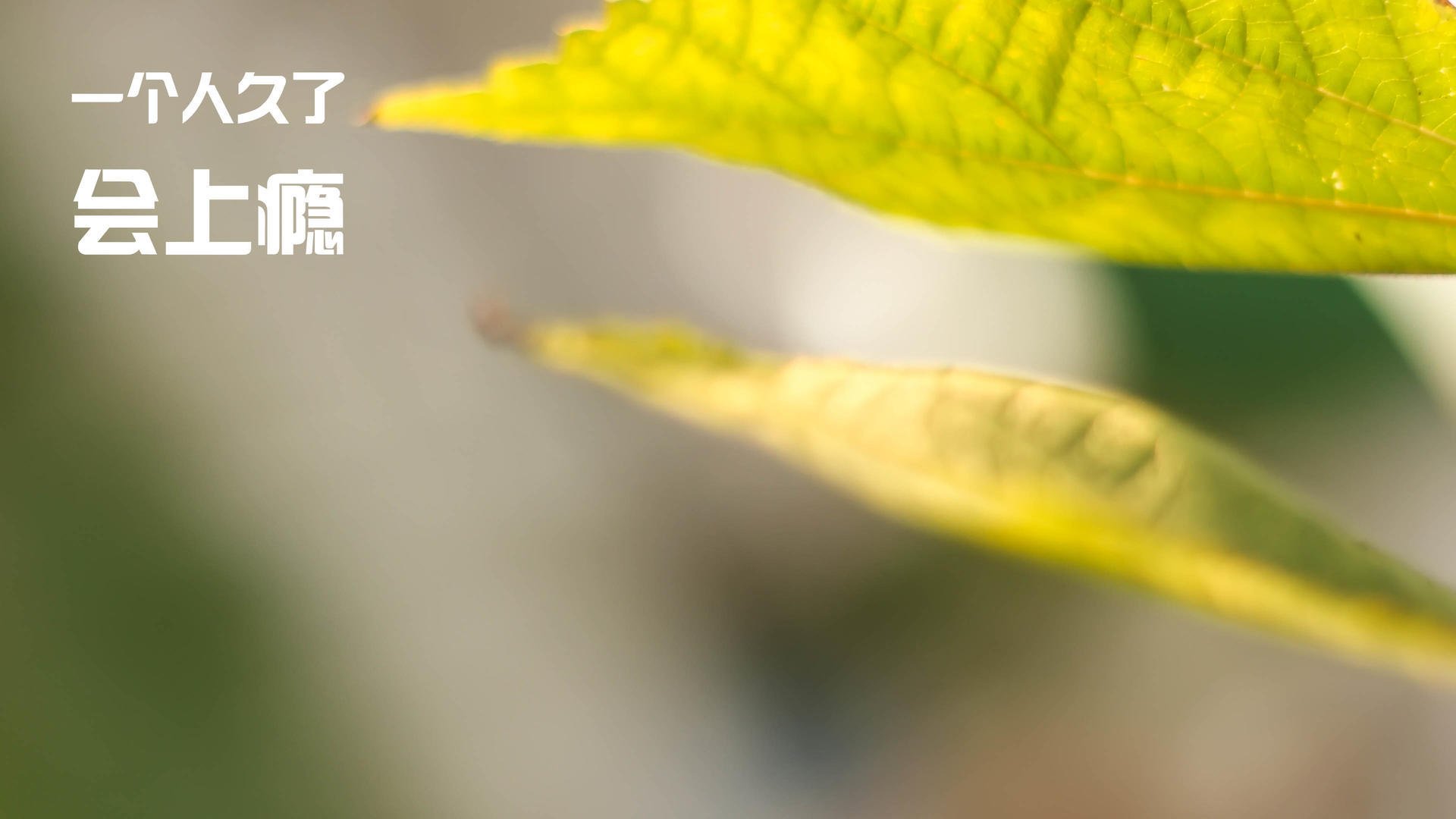 绝杀！战术棋局，尼日利亚惊险逆转奥地利，抢占世界排名争夺战要塞