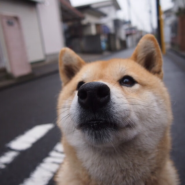 唯一性！四个维度改变战局，英格拉姆用一场比赛定义自己