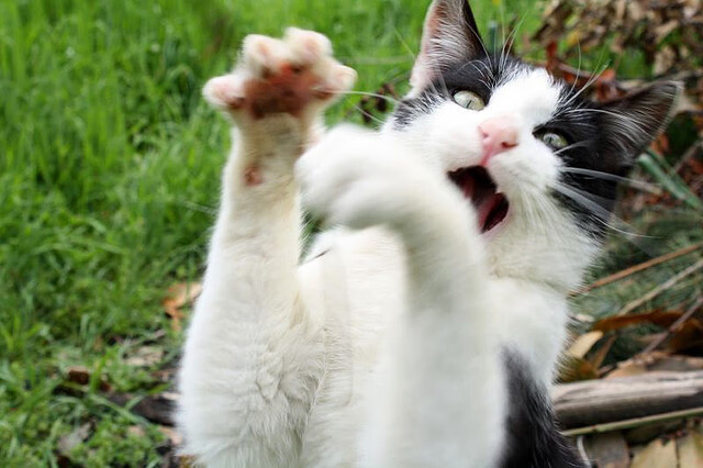 铁胡须与丝绸路，哈登的掌控艺术与一场跨越文化的淘汰赛